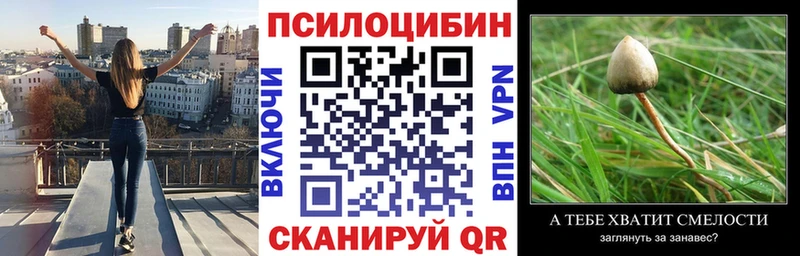 hydra зеркало  Барабинск  Галлюциногенные грибы MAGIC MUSHROOMS  закладки 