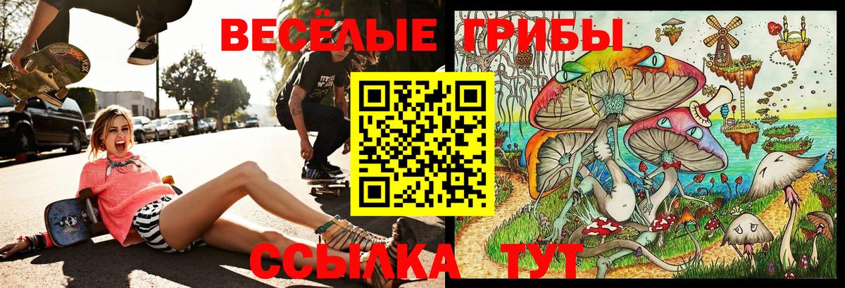 Псилоцибиновые грибы ЛСД Барабинск
