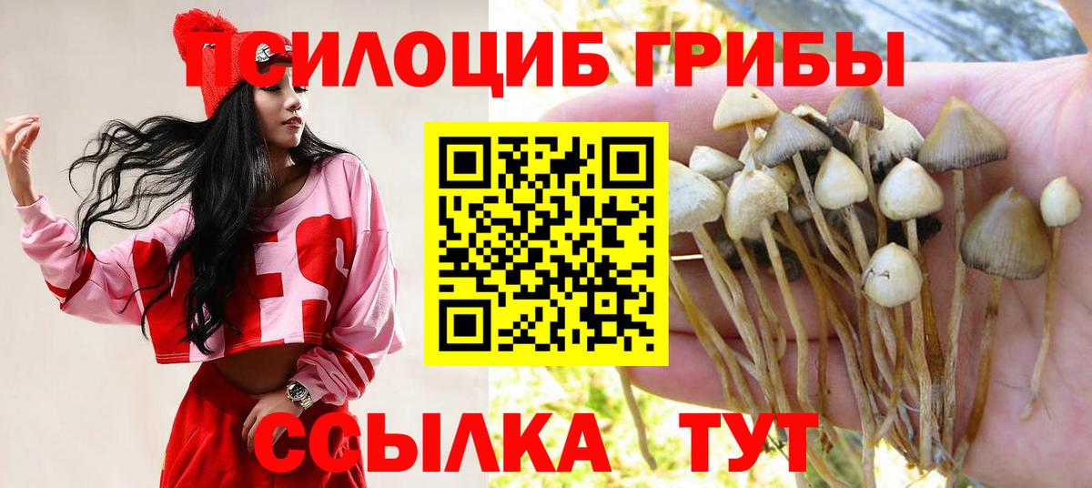 Барабинск  Галлюциногенные грибы мицелий  Вход с VPN 
